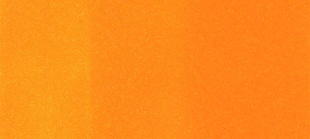 YR16 : Apricot - Image 2