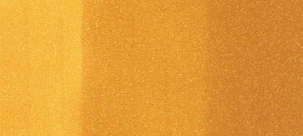 YR24 : Pale Sepia - Image 2